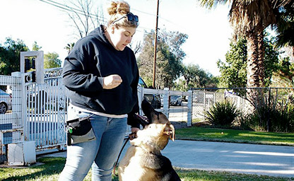 Private Dog Training Newport Beach